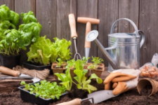 Using Your Garage to Grow Plants This Spring